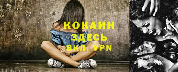 spice Бронницы