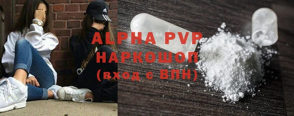 твердый Бородино