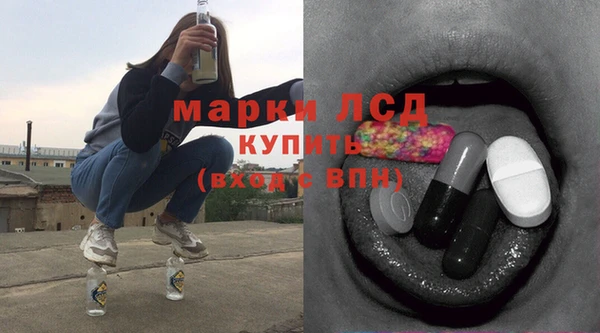 твердый Бородино