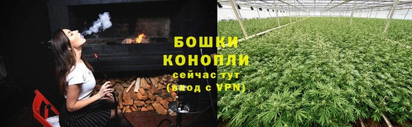 spice Бронницы