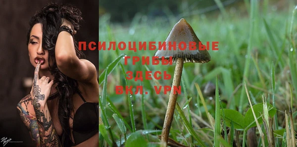 твердый Бородино